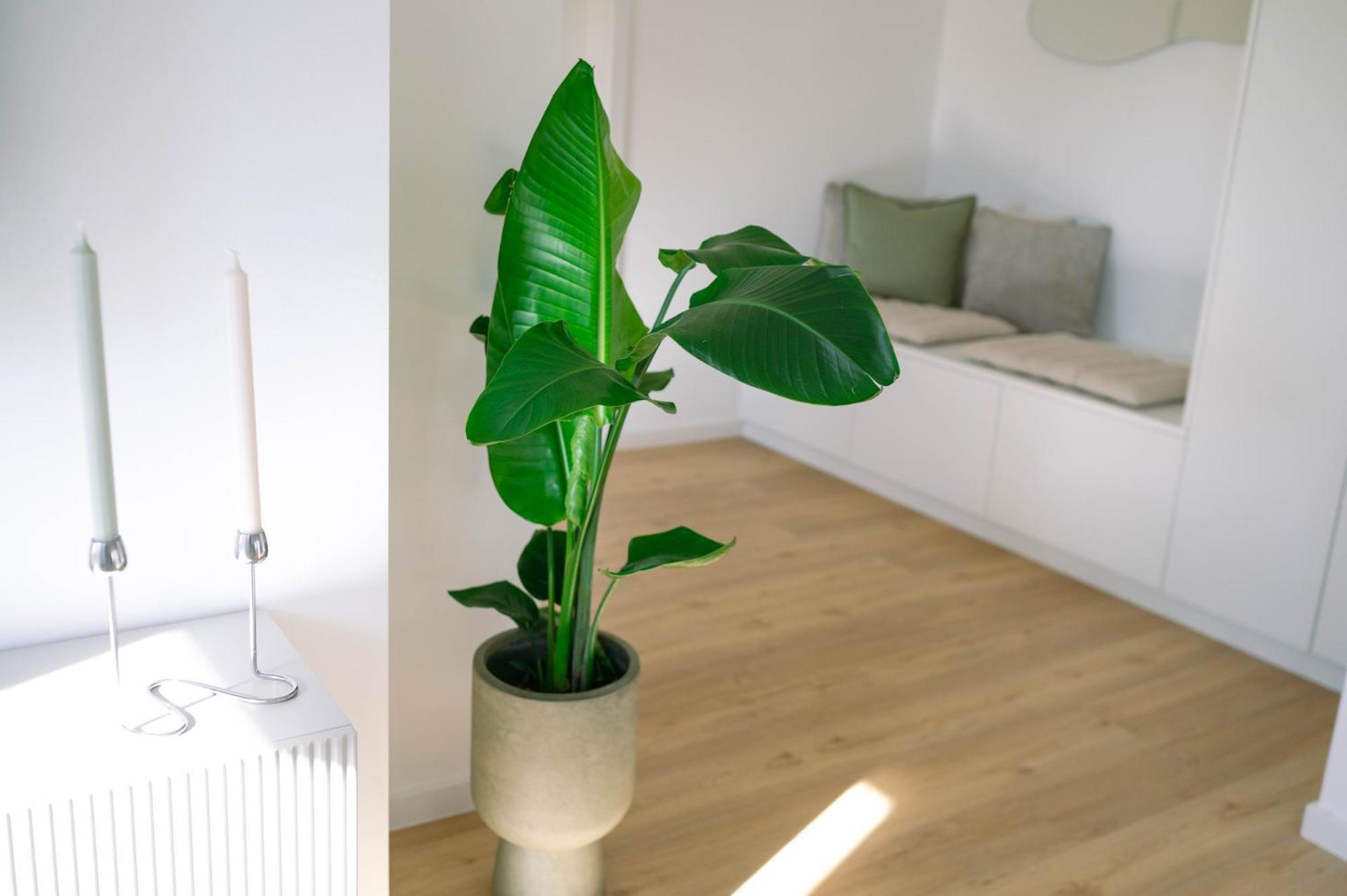 Koe27 - Modernes City-Apartment Siegen Zewnętrze zdjęcie